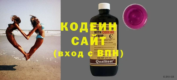 прущие грибы Алзамай