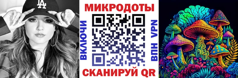 hydra tor  Каневская  Псилоцибиновые грибы Psilocybe 